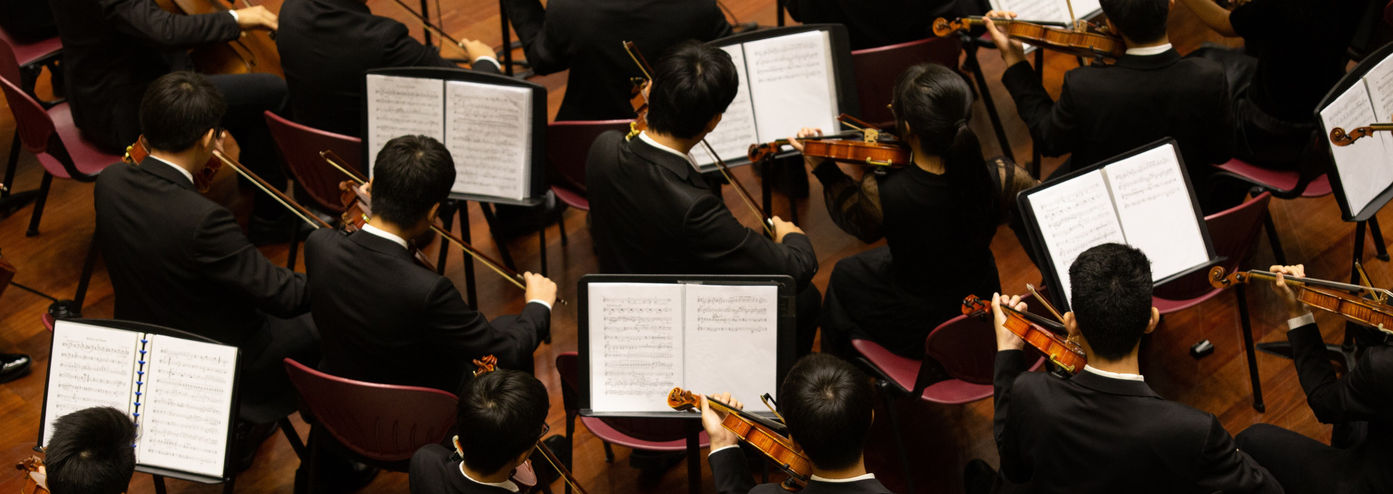 An overhead shot of string players in an orchestra